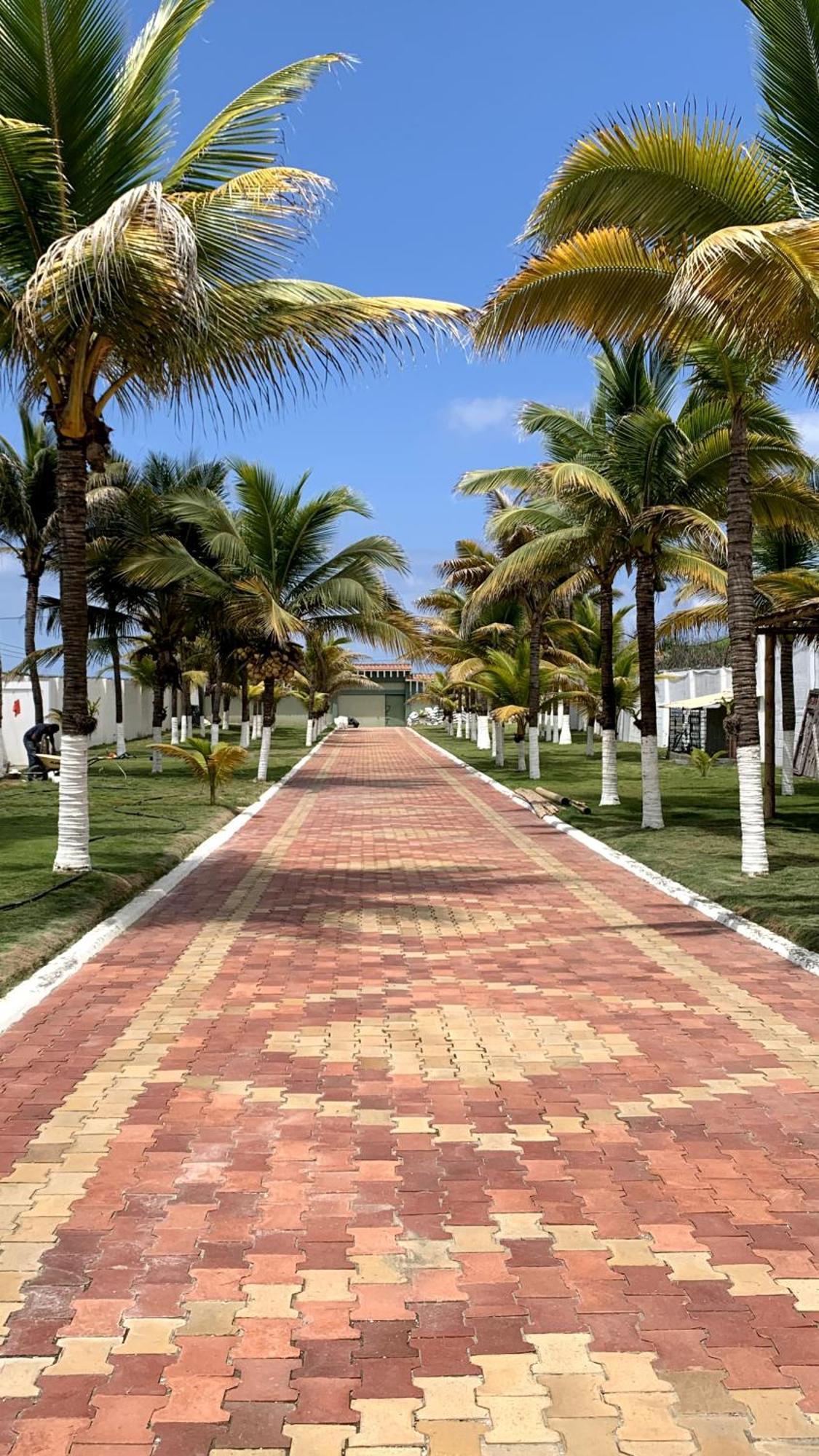 Hotel La Mar بلاياس المظهر الخارجي الصورة